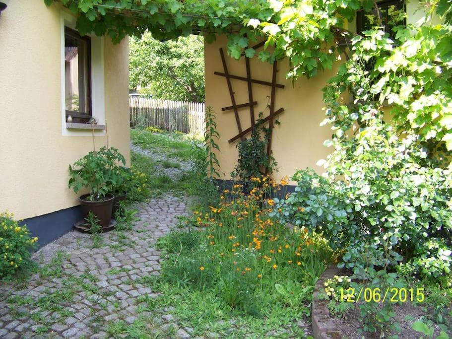 Gartentraum, Feuergrill, Kids-spielwelt, 4raeume Hartenstein (Saxony)