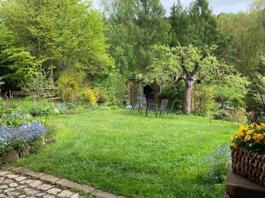 Gartentraum, Feuergrill, Kids-spielwelt, 4raeume * Hartenstein (Saxony)