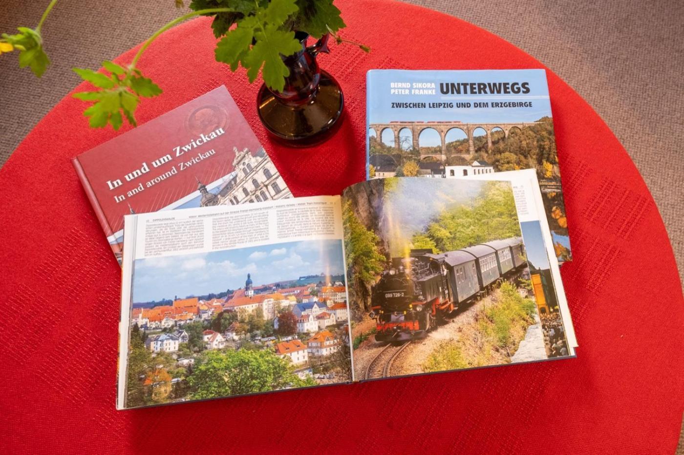 Gartentraum, Feuergrill, Kids-spielwelt, 4raeume Hartenstein (Saxony)
